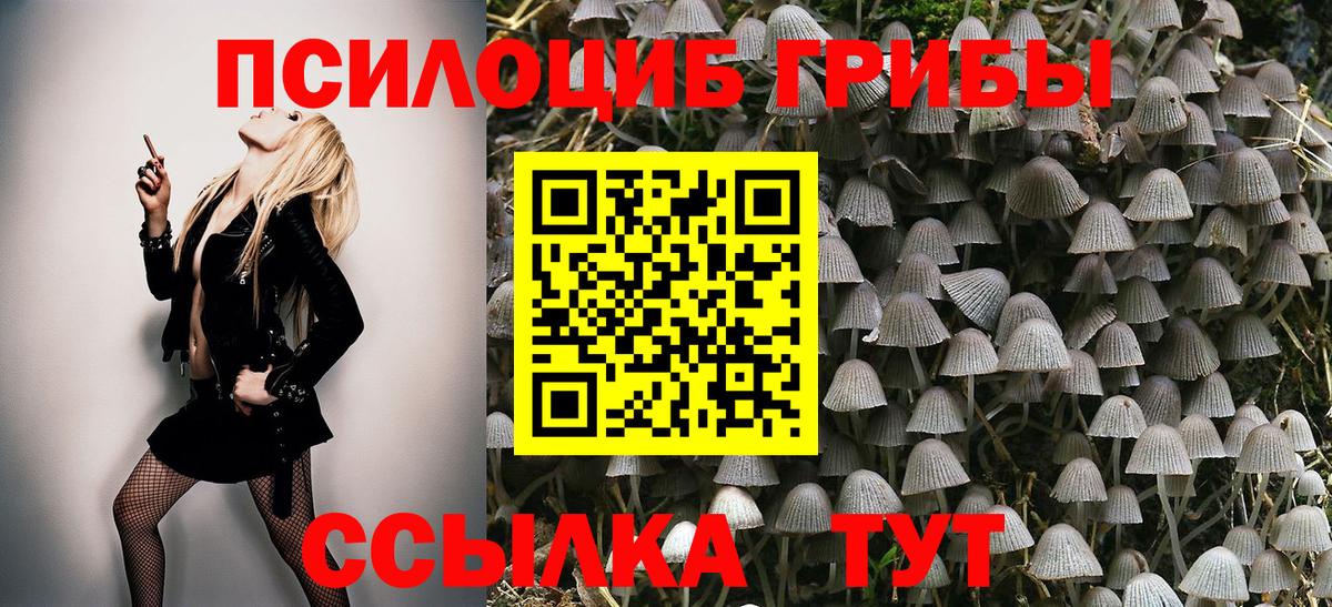 Ставрополь  Галлюциногенные грибы Magic Shrooms  Вход с VPN 